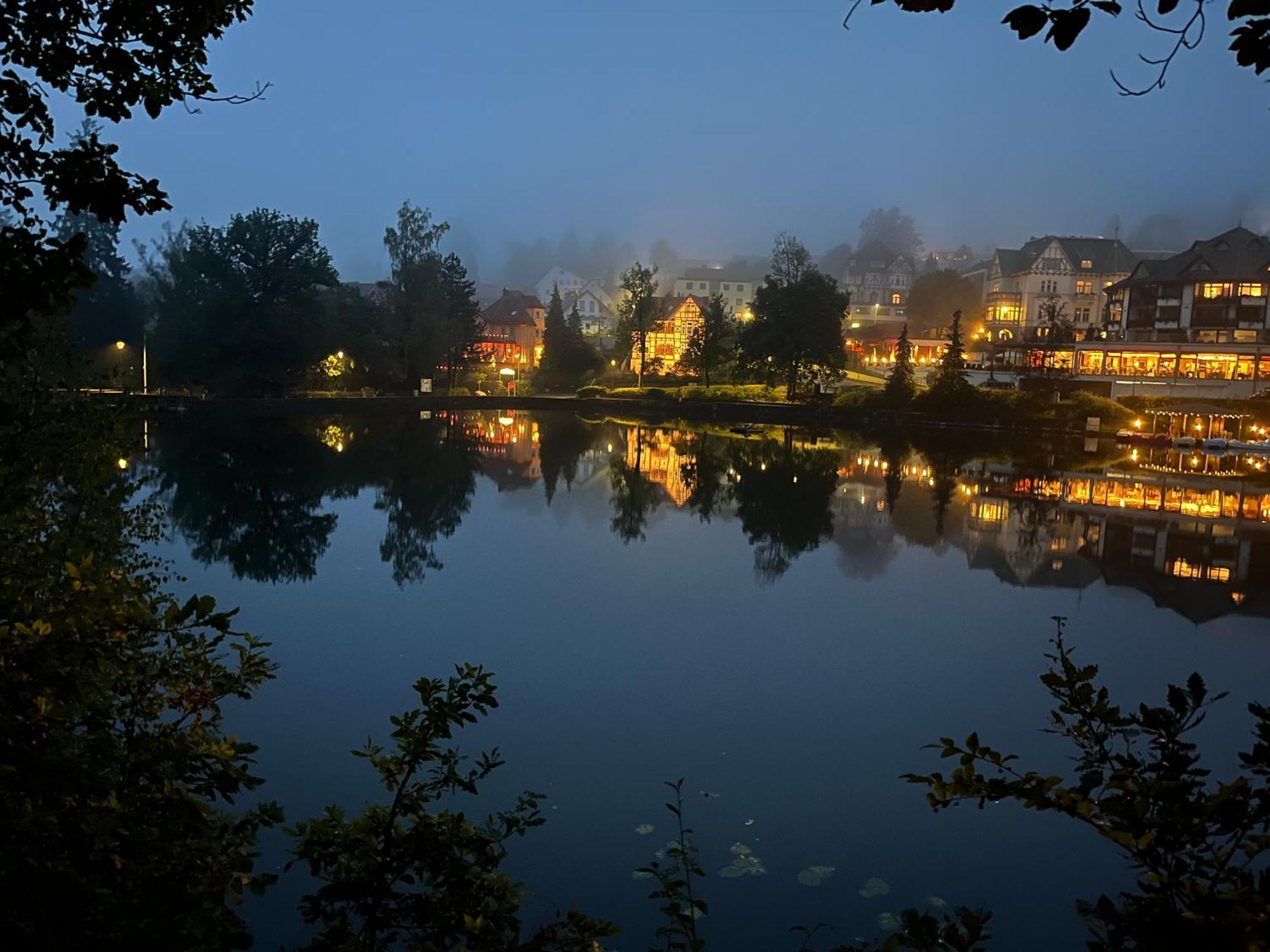 באד סקסה Haus Am See מראה חיצוני תמונה