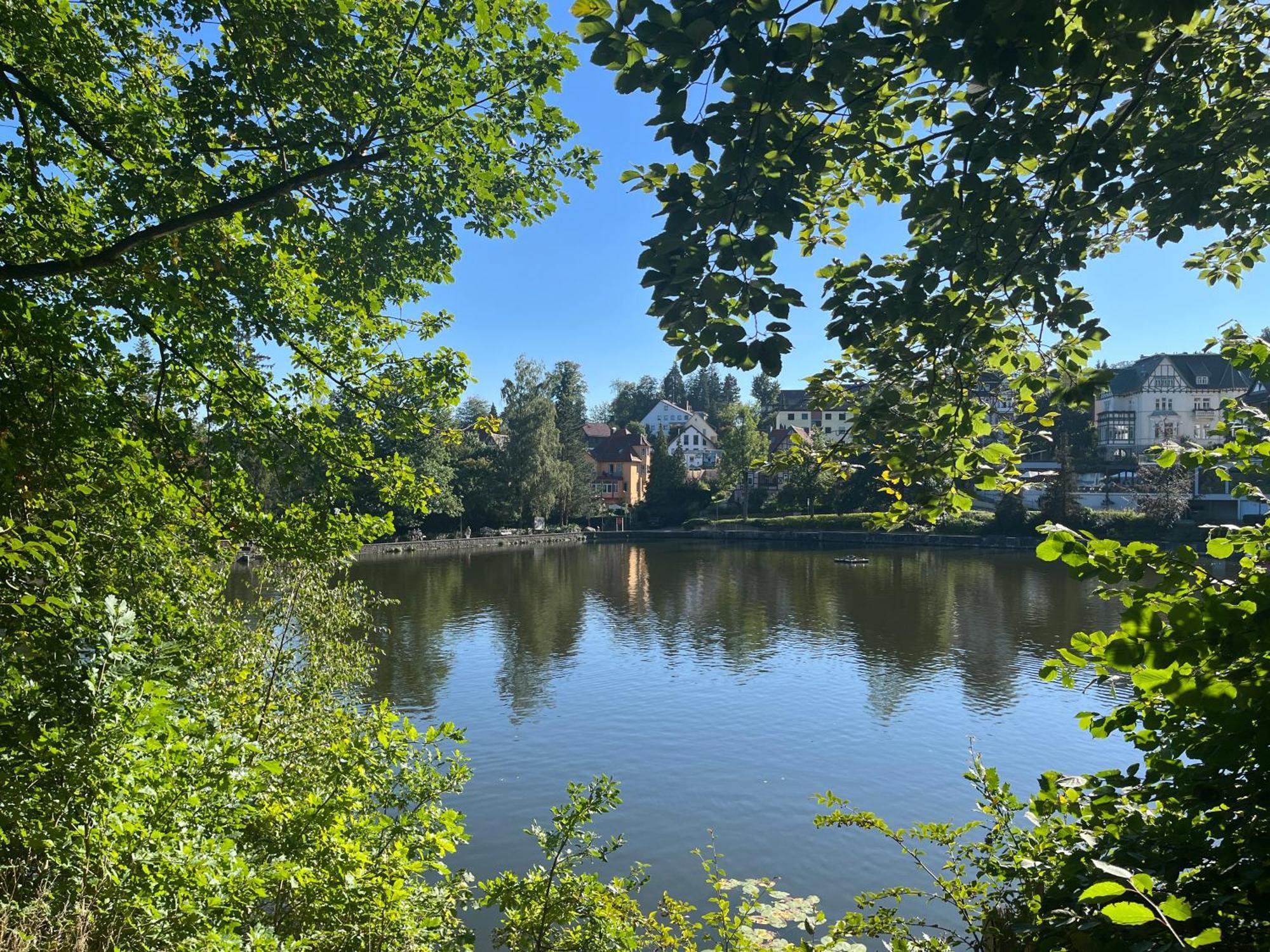 באד סקסה Haus Am See מראה חיצוני תמונה