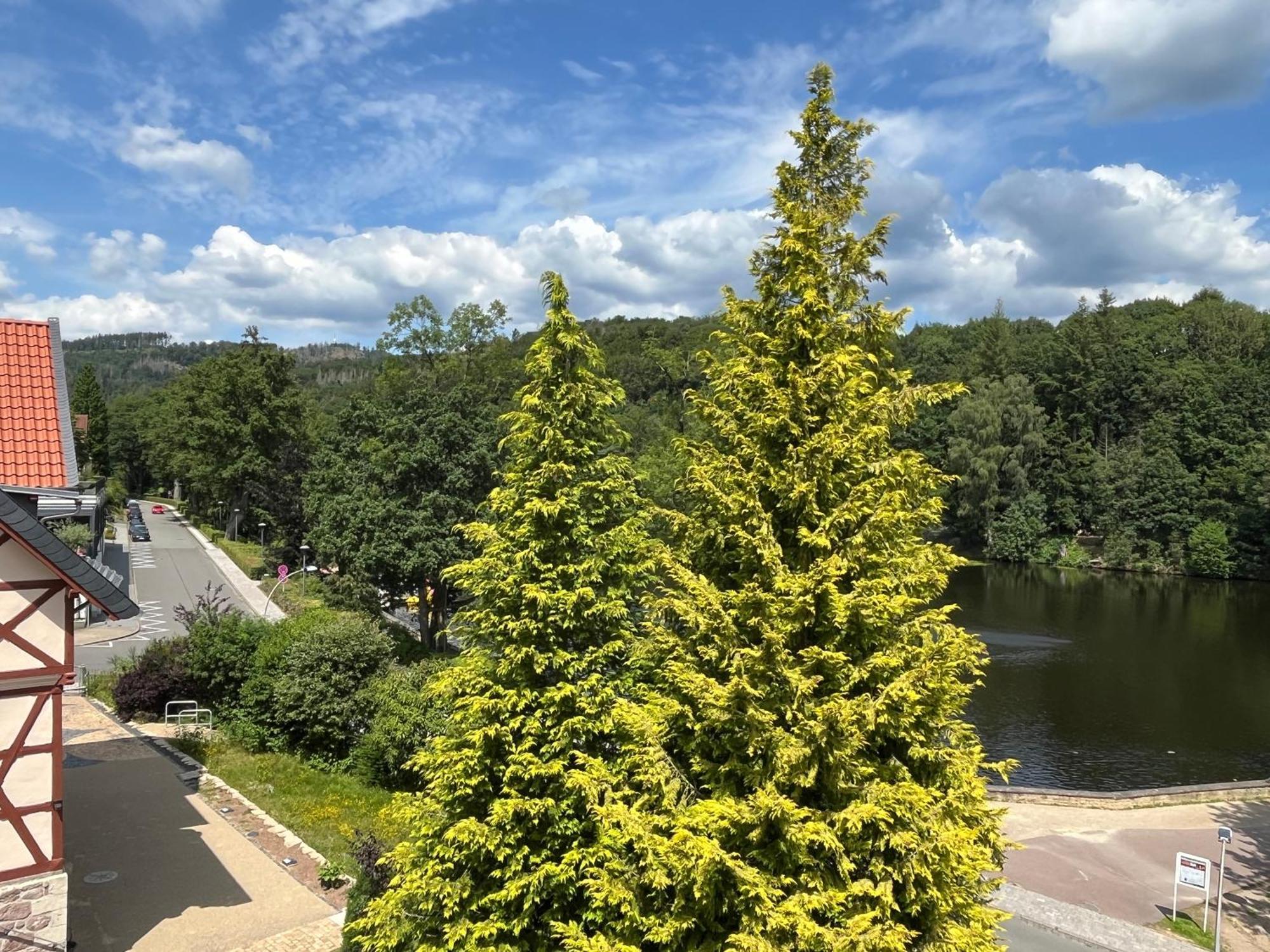 באד סקסה Haus Am See מראה חיצוני תמונה